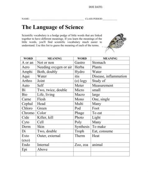 the language of science worksheet answer key